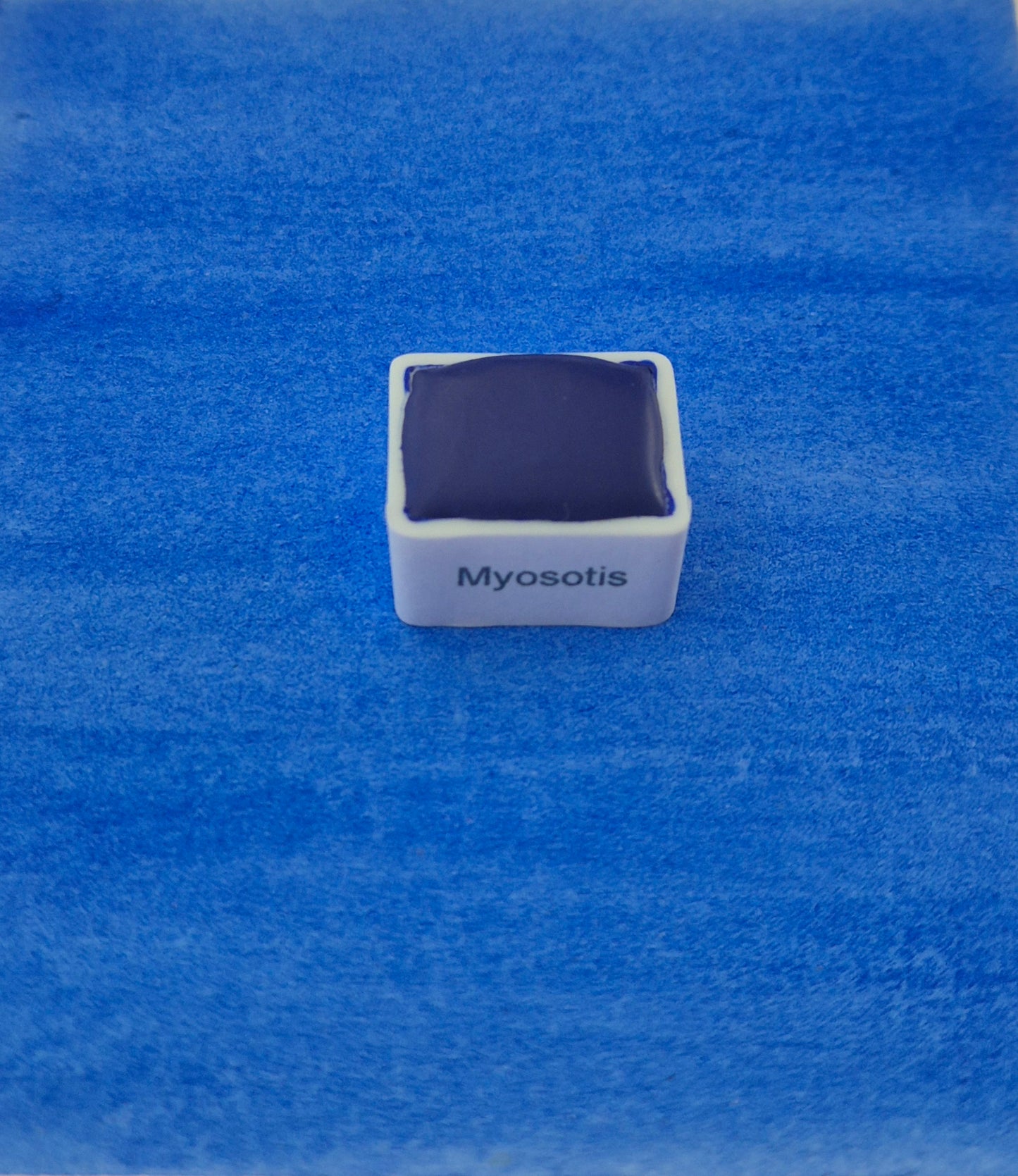 Myosotis – Aquarelle extra fine artisanale et végane (demi godet)