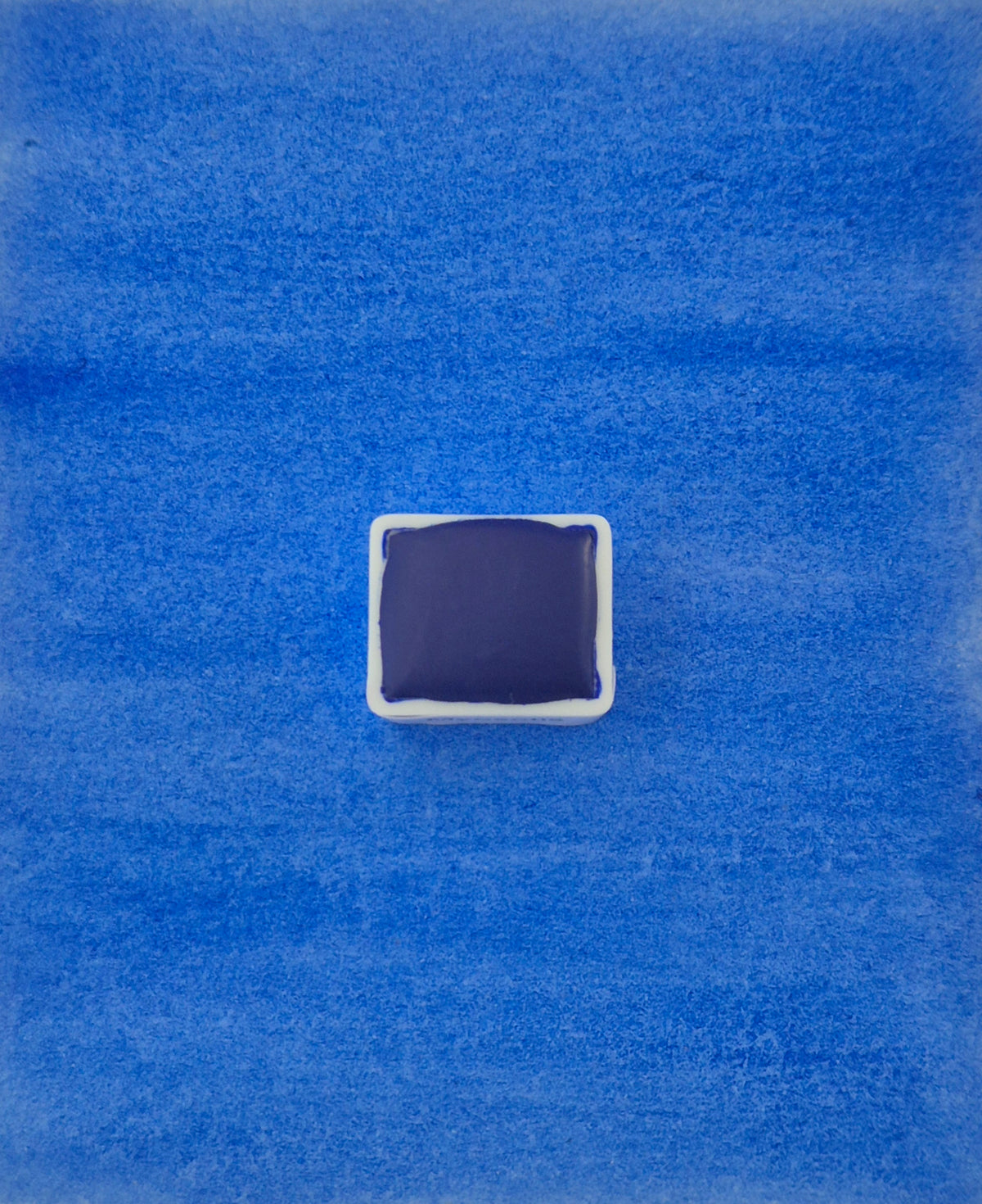 Myosotis – Aquarelle extra fine artisanale et végane (demi godet)