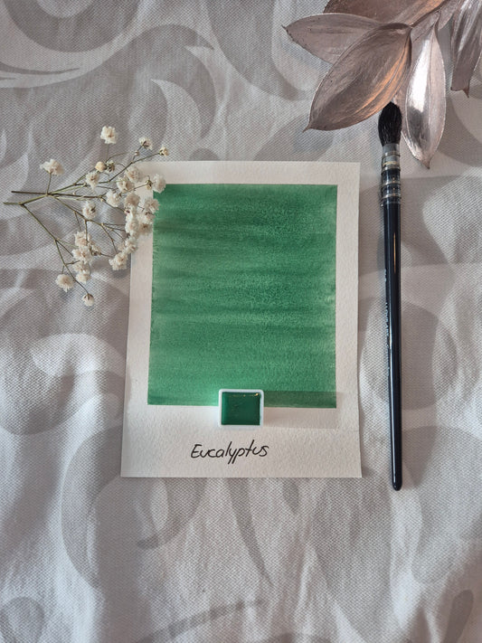 Eucalyptus – Aquarelle extra fine artisanale et végane (demi godet)