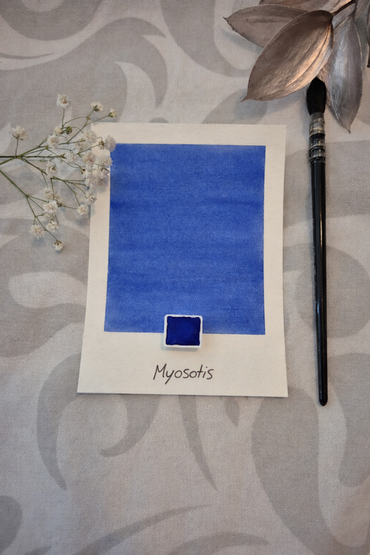 Myosotis – Aquarelle extra fine artisanale et végane (demi godet)