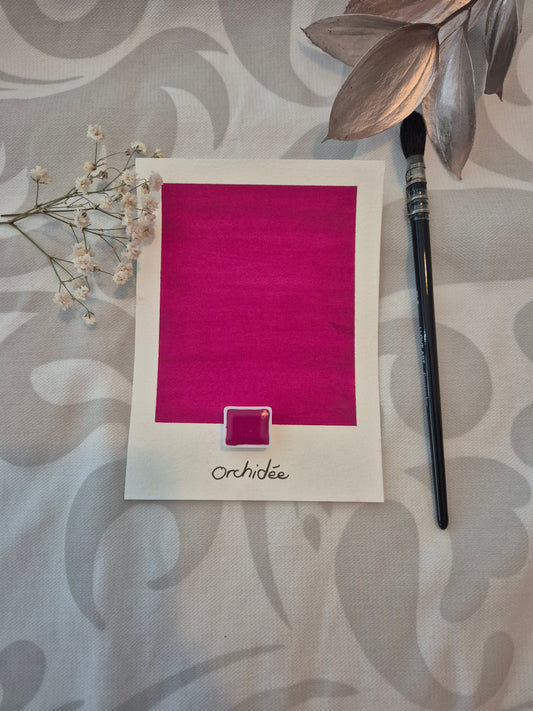 Orchidée – Aquarelle extra fine artisanale et végane (demi godet)