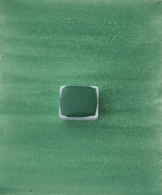 Eucalyptus – Aquarelle extra fine artisanale et végane (demi godet)