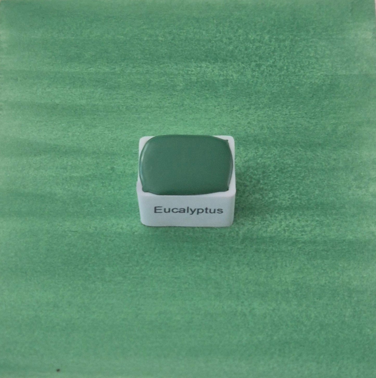 Eucalyptus – Aquarelle extra fine artisanale et végane (demi godet)
