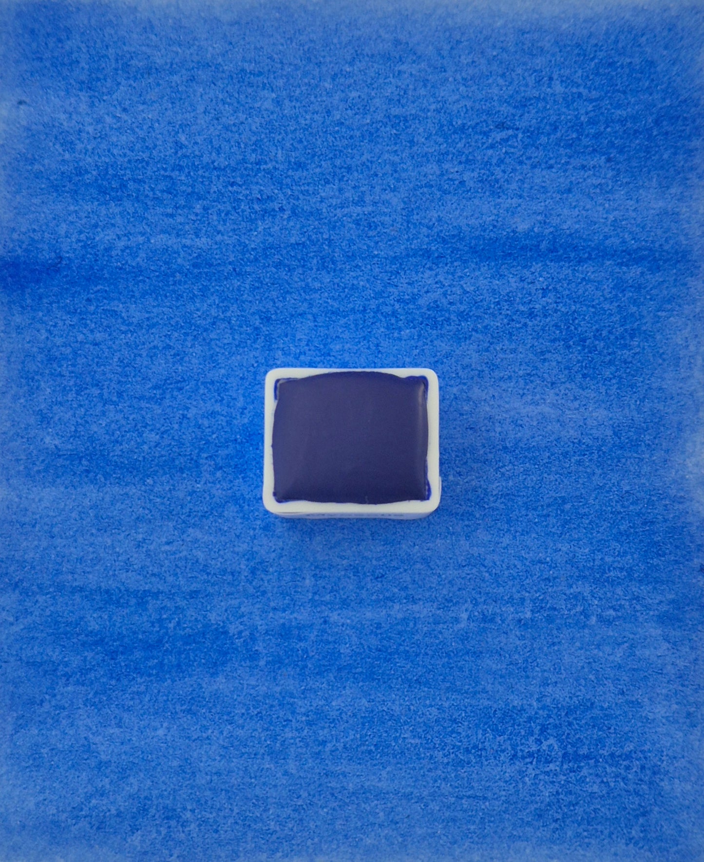 Myosotis – Aquarelle extra fine artisanale et végane (demi godet)